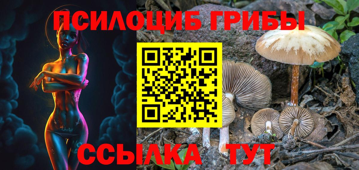 наркота  Вход с VPN  Псилоцибиновые грибы GOLDEN TEACHER  Ангарск  Галлюциногенные грибы Magic Shrooms 