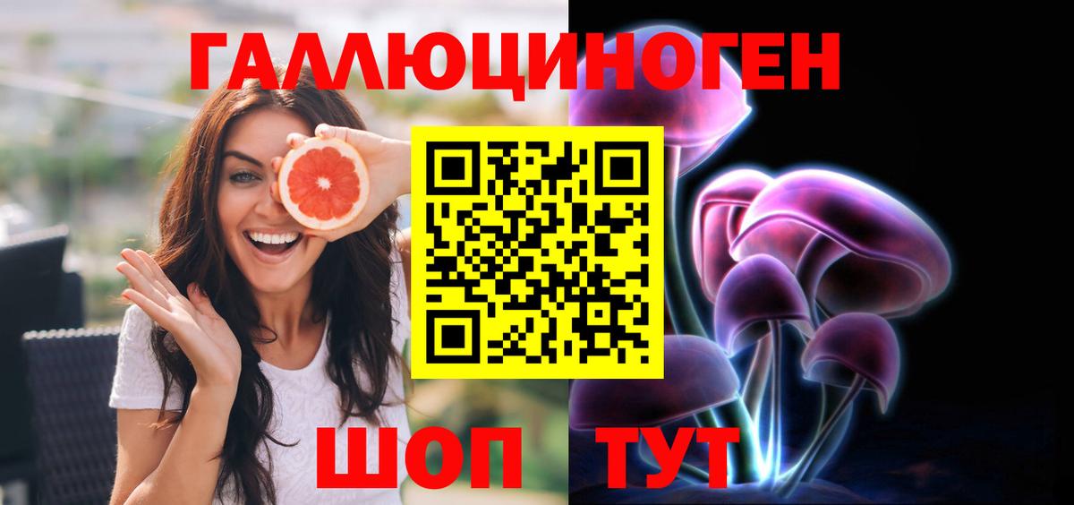 Галлюциногенные грибы Psilocybe Ангарск